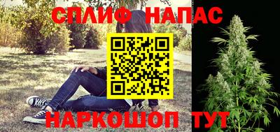 гидра Кандалакша