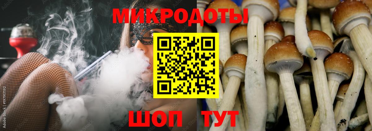 Галлюциногенные грибы Psilocybine cubensis Коркино