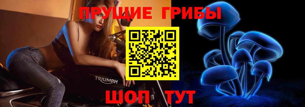 Псилоцибиновые грибы Cubensis  Вход с VPN  Псилоцибиновые грибы Psilocybine cubensis  Коркино 